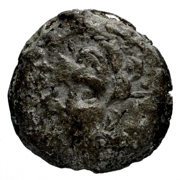 Seleucid Coins (part 2) 1336.1, аверс, bnf-hrc