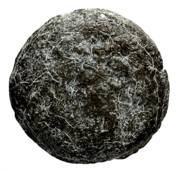 Seleucid Coins (part 2) 1336.1, аверс, bnf-hrc