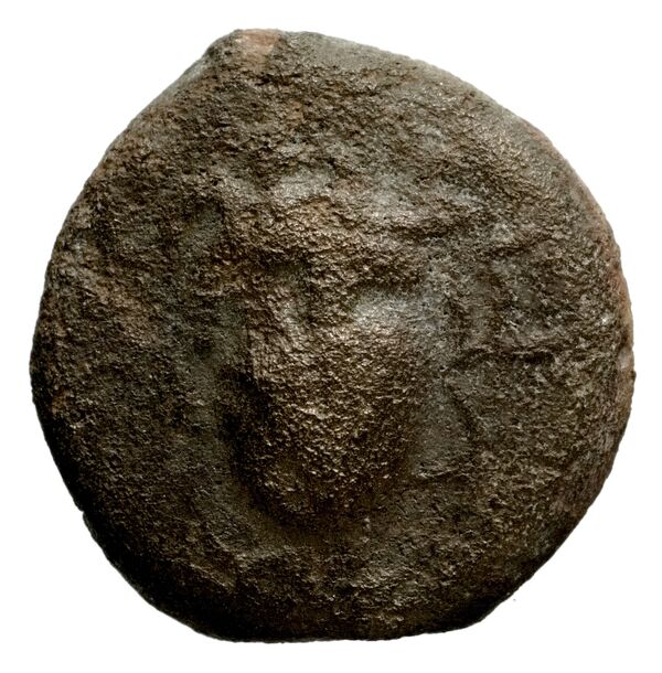 Seleucid Coins (part 2) 1336.1, аверс, bnf-hrc