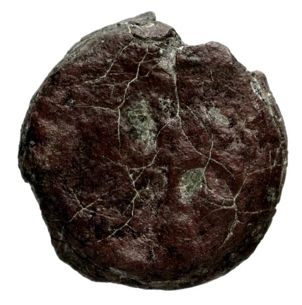 Seleucid Coins (part 2) 1337.1, аверс, bnf-hrc