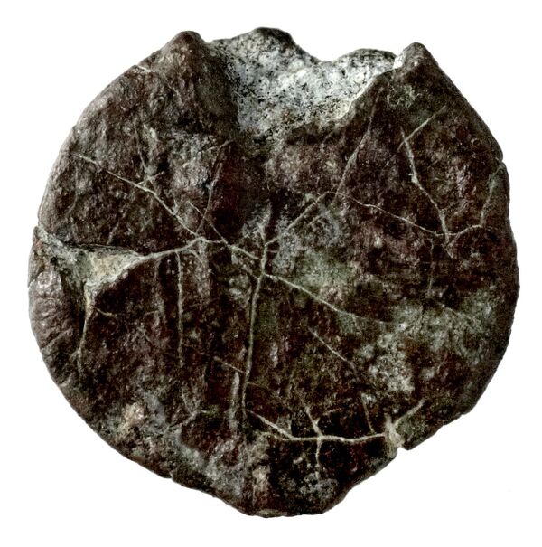 Seleucid Coins (part 2) 1337.1, реверс, bnf-hrc