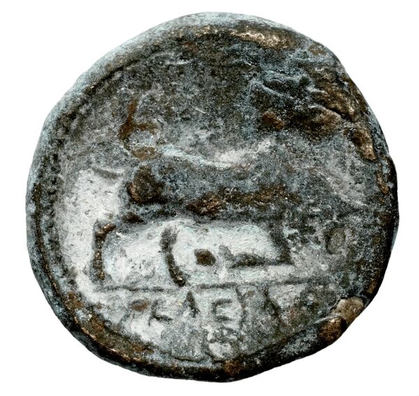 реверс Seleucid Coins (part 1) 191.1