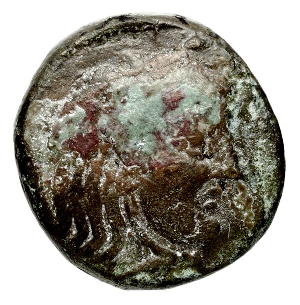 Seleucid Coins (part 1) 191.2, аверс, bnf-hrc