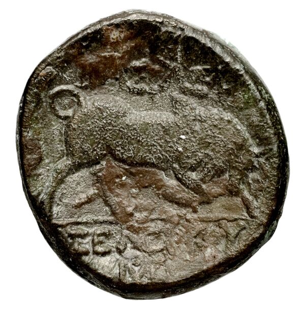 Seleucid Coins (part 1) 191.2, реверс, bnf-hrc