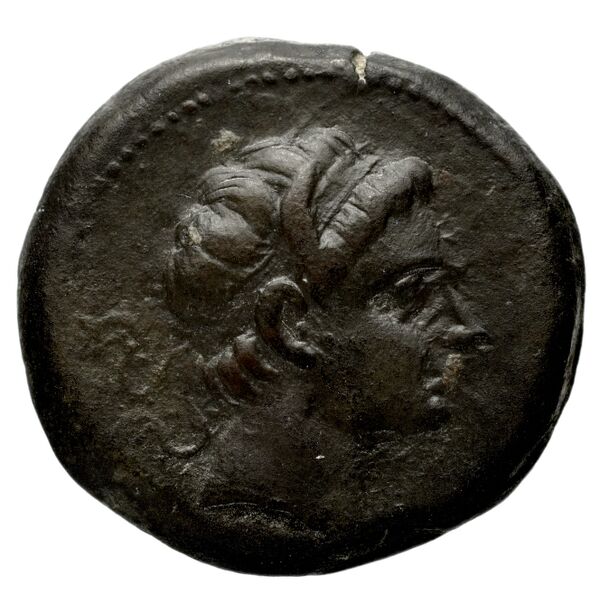 аверс Seleucid Coins (part 1) 1218