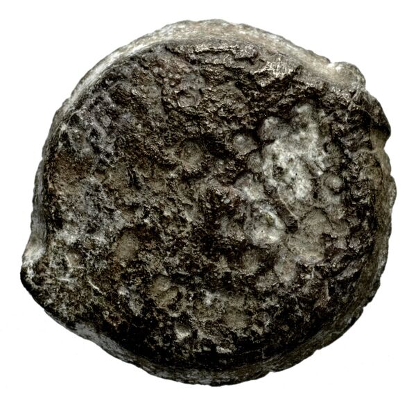 Seleucid Coins (part 2) 1338, аверс, bnf-hrc