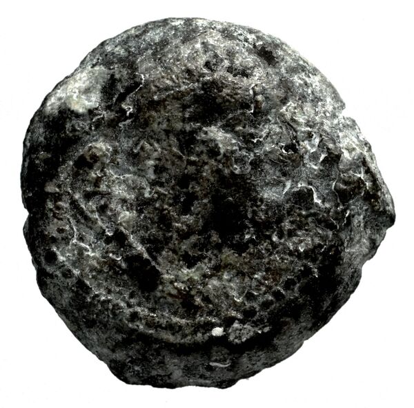 Seleucid Coins (part 2) 1338, аверс, bnf-hrc