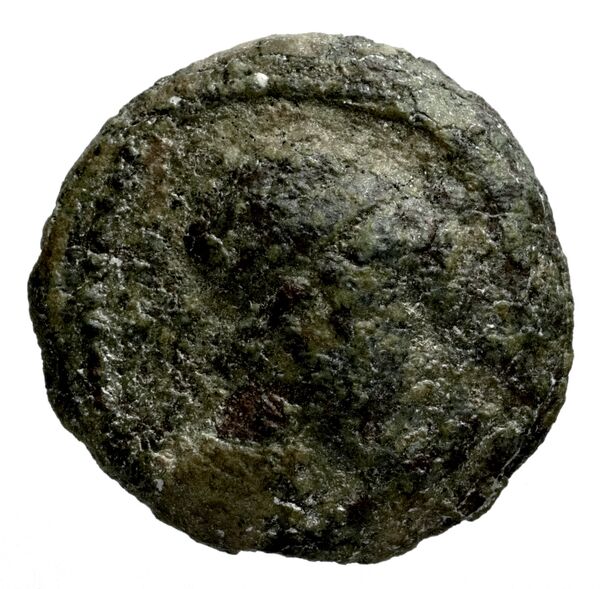 Seleucid Coins (part 2) 1512, аверс, bnf-hrc