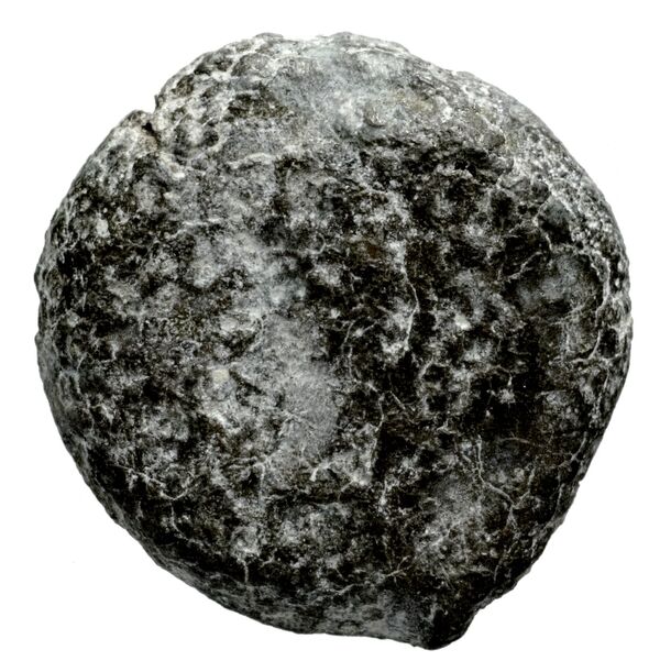 Seleucid Coins (part 2) 1512, аверс, bnf-hrc