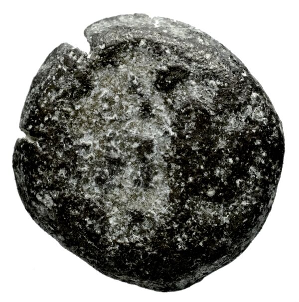 Seleucid Coins (part 2) 1507, аверс, bnf-hrc