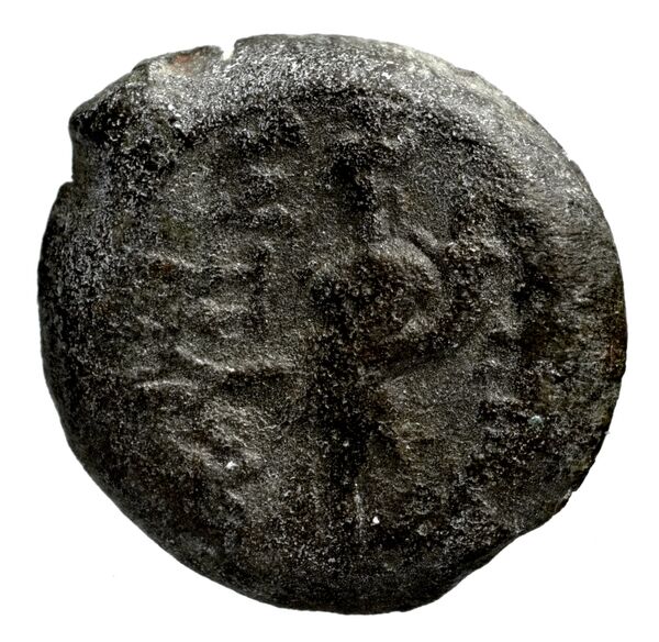 Seleucid Coins (part 2) 1507, реверс, bnf-hrc