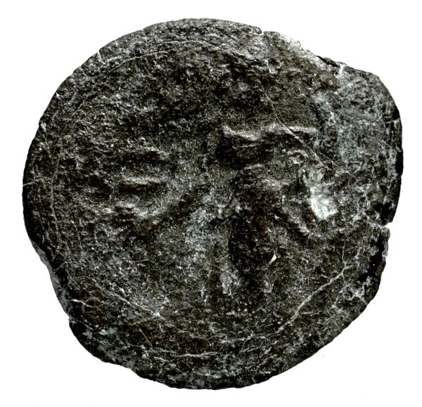 Seleucid Coins (part 2) 1507, реверс, bnf-hrc
