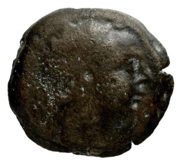 Seleucid Coins (part 2) 1515.1, аверс, bnf-hrc