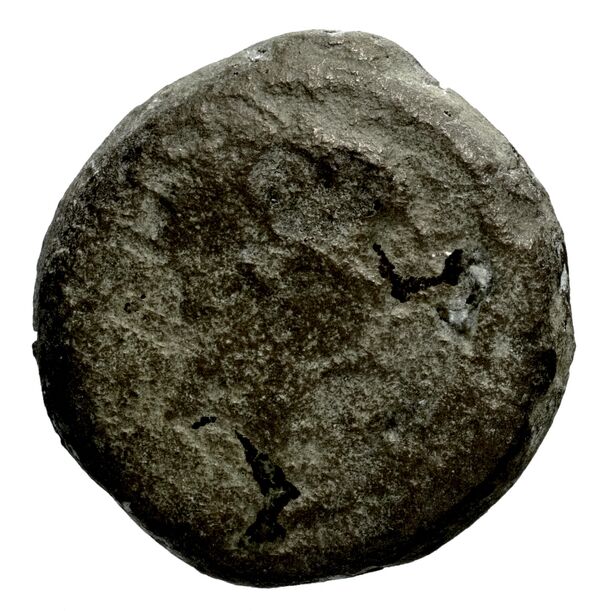 Seleucid Coins (part 2) 1510, аверс, bnf-hrc