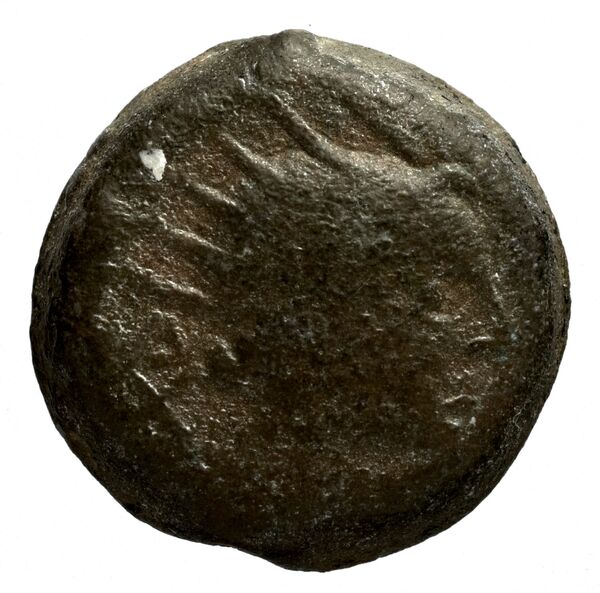Seleucid Coins (part 2) 1510, аверс, bnf-hrc
