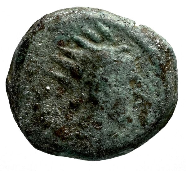 Seleucid Coins (part 2) 1510, аверс, bnf-hrc