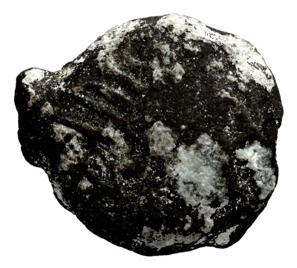 Seleucid Coins (part 2) 1510, аверс, bnf-hrc