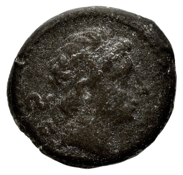 аверс Seleucid Coins (part 1) 1219
