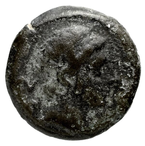 Seleucid Coins (part 1) 1219, аверс, bnf-hrc