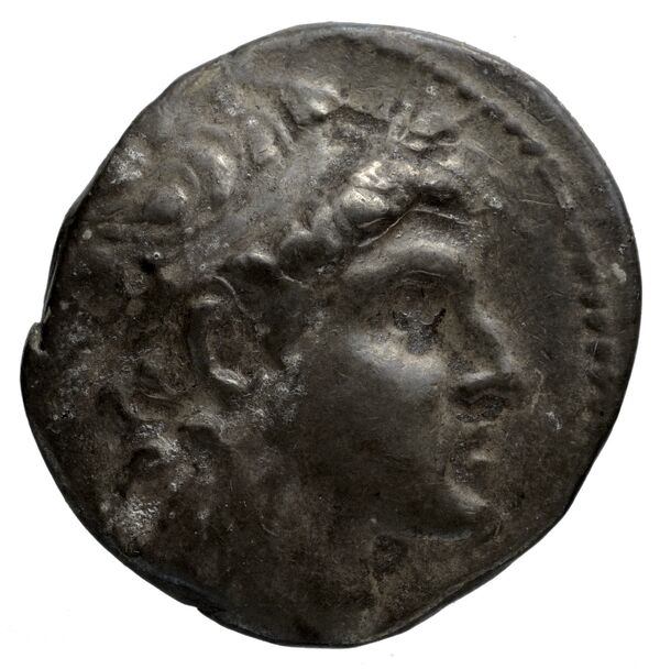 obverse Seleucid Coins (part 2) 1858.2
