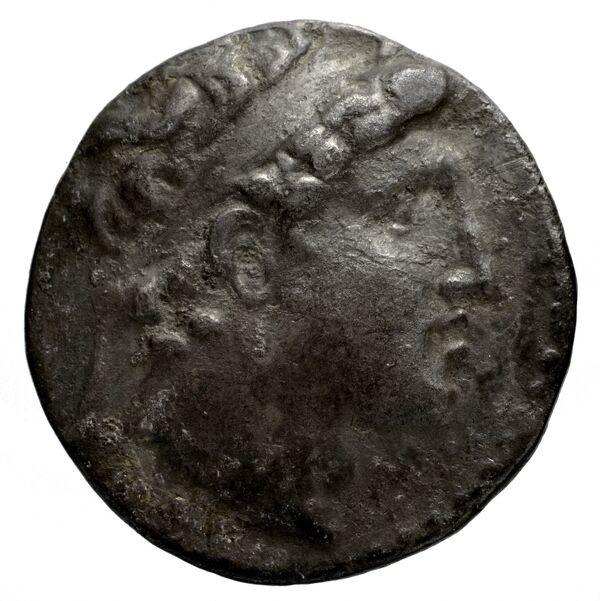 Seleucid Coins (part 2) 1858.2, аверс, bnf-hrc