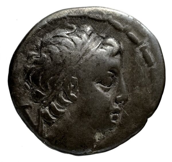 Seleucid Coins (part 2) 1986.1, аверс, bnf-hrc