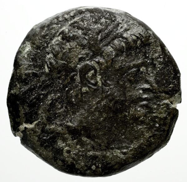 аверс Seleucid Coins (part 1) 1216