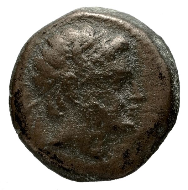 аверс Seleucid Coins (part 1) 1217