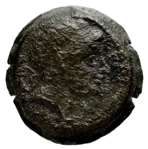 аверс Seleucid Coins (part 1) 1223