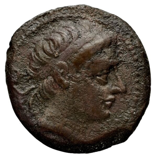 аверс Seleucid Coins (part 1) 1207