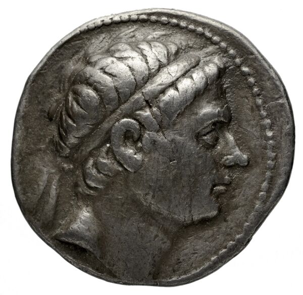 аверс Seleucid Coins (part 1) 1213.3