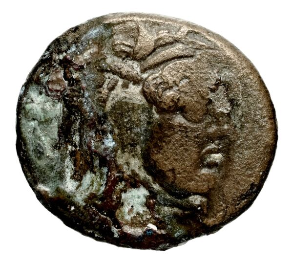 Seleucid Coins (part 1) 192, аверс, bnf-hrc