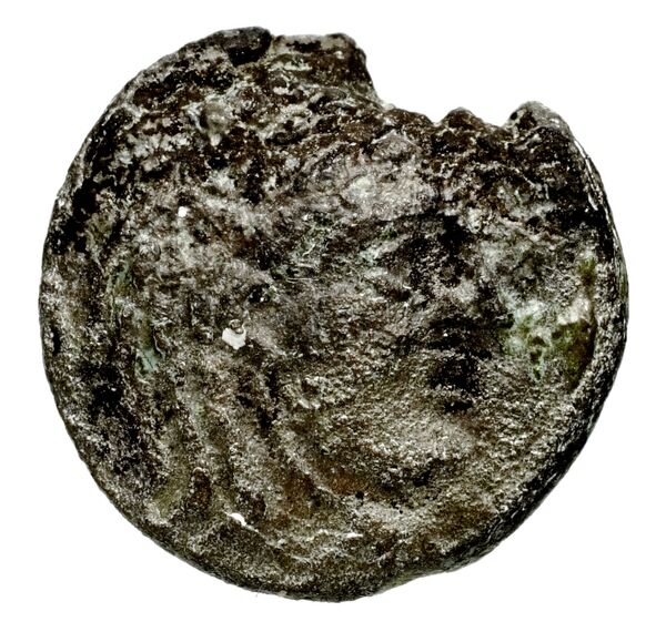 Seleucid Coins (part 1) 192, аверс, bnf-hrc