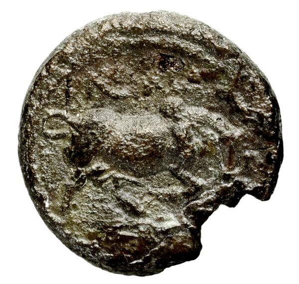 Seleucid Coins (part 1) 192, реверс, bnf-hrc
