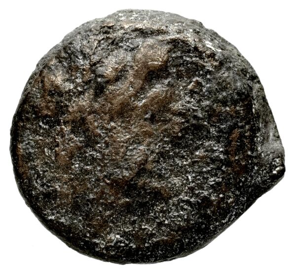 аверс Seleucid Coins (part 1) 1227