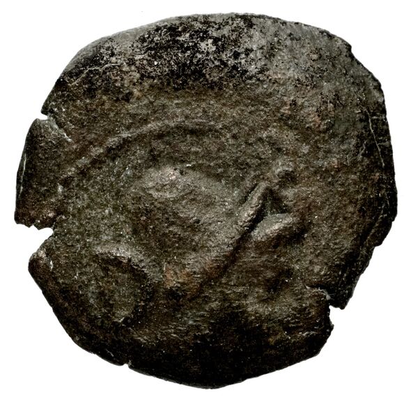 Seleucid Coins (part 1) 1225, аверс, bnf-hrc