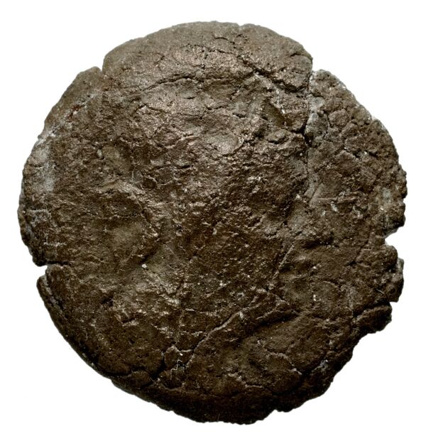 Seleucid Coins (part 1) 1225, аверс, bnf-hrc