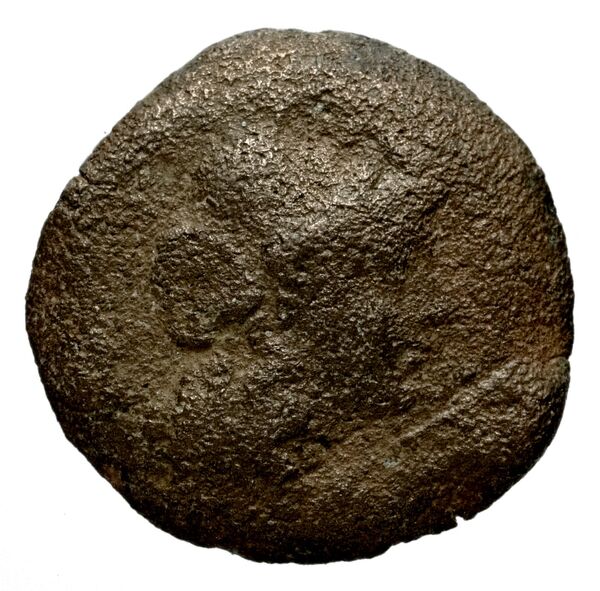 Seleucid Coins (part 1) 1225, аверс, bnf-hrc
