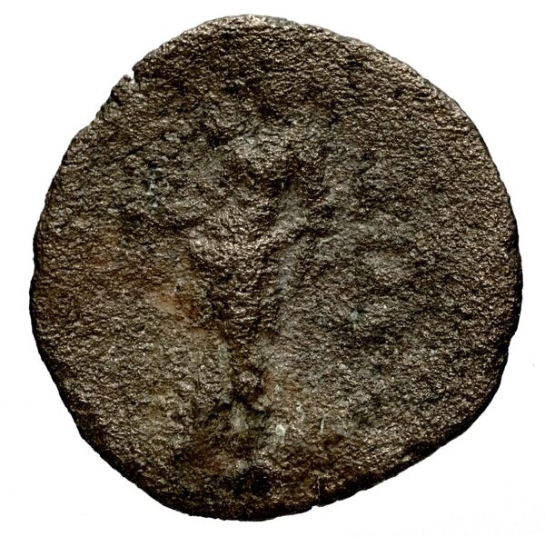 Seleucid Coins (part 1) 1225, реверс, bnf-hrc