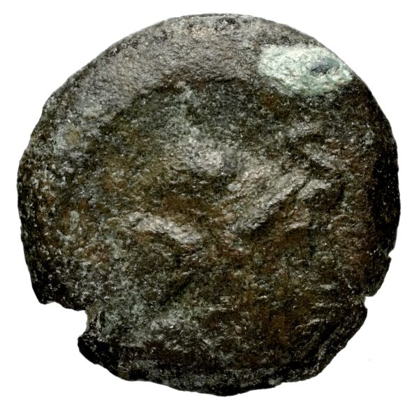 Seleucid Coins (part 1) 1225, аверс, bnf-hrc