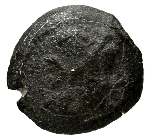 Seleucid Coins (part 1) 1225, аверс, bnf-hrc