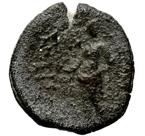 Seleucid Coins (part 1) 1225, реверс, bnf-hrc