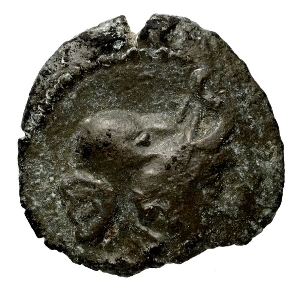 Seleucid Coins (part 1) 1225, аверс, bnf-hrc