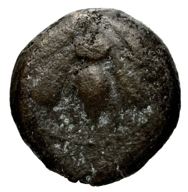 Seleucid Coins (part 1) 1226.1, аверс, bnf-hrc