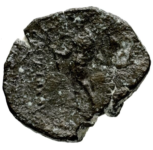 Seleucid Coins (part 1) 1226.1, реверс, bnf-hrc