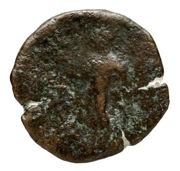 реверс Seleucid Coins (part 2) 1552