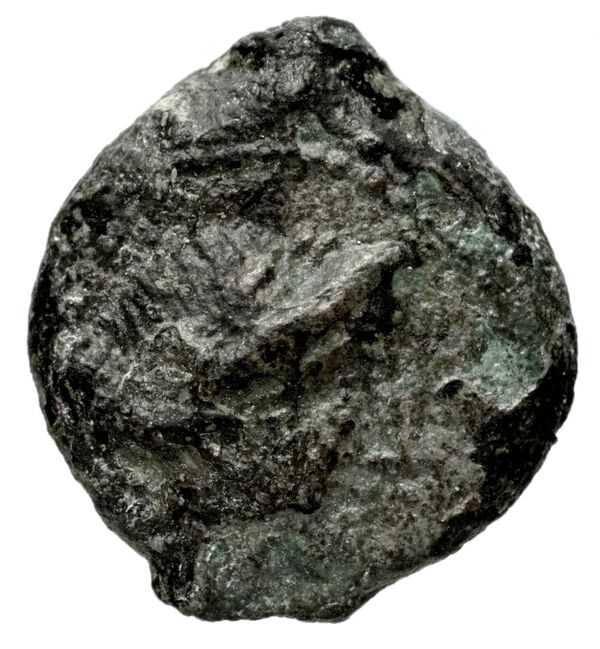 аверс Seleucid Coins (part 2) 1343