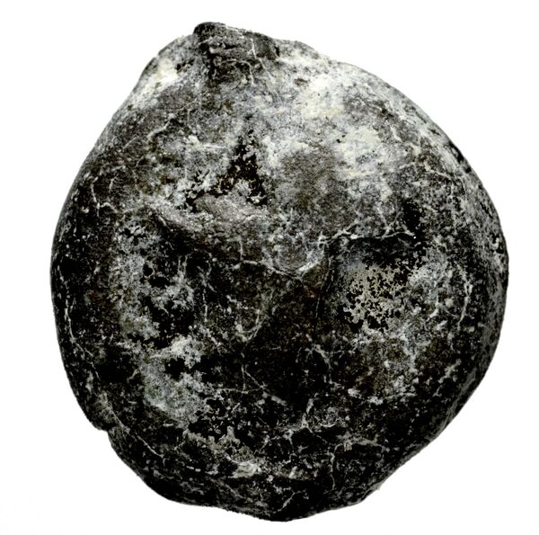 Seleucid Coins (part 2) 1347, аверс, bnf-hrc