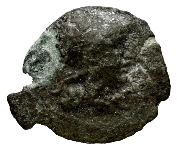 Seleucid Coins (part 2) 1347, аверс, bnf-hrc