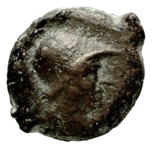 Seleucid Coins (part 2) 1347, аверс, bnf-hrc